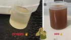 Moringa comfrey kelp alfalfa stinging Nettle Fpe - Organic Soil   Foliar Feed