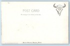 Helena Montana Mt Postcard Bird s Eye View Houses And Mountain Scene C1905
