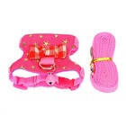 Small Animal Harness Vest With Leash For Ferret Chinchilla Squirrel Pet Supplies