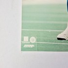 Lamar Lathon 8x10 Photo Carolina Panthers  57 Nfl Players Action Licensed Print