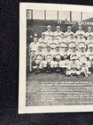 Original 1948 St  Louis Browns 8x10 B w George Dorrill Team Photo  Vintage rare 
