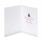 Papyrus Penguin Christmas Cards Boxed 20 Every Joy Of The Season Envelopes Seals