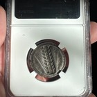 Lucania Metapontum Ar Silver Stater Ngc Chf 510-470  Barley Ear Incuse 5 5 Strik