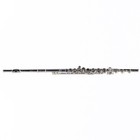 William S  Haynes Model Af580se-bo  amadeus  Flute Sn 2306101 Open Box