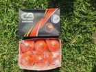Best 6 X 156 Gm 4 Piece Orange Premium Quality Leather Senior Cricket Balls