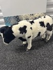 Charlotte s Web Fao Schwarz Hansa Plush Bitsy Cow Read   
