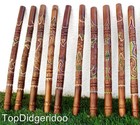 Ships Free  Aboriginal Didgeridoo  bag Reptile animal Handcarving   Dot-painting