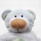 Ty Pluffies Beanie Bluebeary Teddy Bear Plush Lovey 8  Brown Nose Light Blue Fur