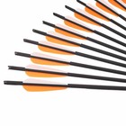 12x20  Carbon Arrows Crossbow Bolts For Crossbow Hunting Archery Or Arrow Quiver