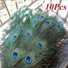10pcs 100  Real Natural Peacock Feathers 25-30cm Festival Party Decoration