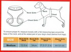 Mesh Padded Soft Puppy Pet Dog Harness Breathable Comfortable 3 Colors 3 Sizes