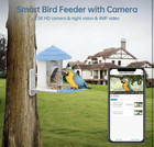 Bird Feeder With Camera  2 5k Hd Camera With Solar Panel  Automatic Bird Video 