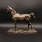 Antique Bronze Horse Sculpture  arabe  Signed P j  Mene French Animalier