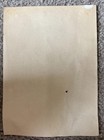 Vtg Ted Williams Red Sox Picture Pack Photo