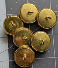 Nwop - 6  p  Waterbury Buttons Uniform Button - 7 8  Gold Tone Made In Usa