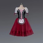 Stage Performance Costume Long Ballet Dancing Dance Ballerina Dress For Girls