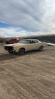 1967 Pontiac Gto 