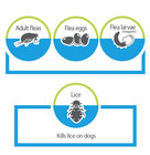 Advantage Ii Flea Spot Treatment For Dogs  Over 55 Lbs  6 Doses  - Free Shipping