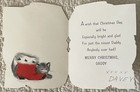 Vintage Christmas Dog Cat Kitten Sit In Boot Santa Sparkle Greeting Card 1950s