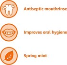 Antiseptic Mouthwash  Mint  8 5 Fl Oz  1 Pack