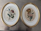 Pair Antique Victorian Botanical Floral Watercolor Flowers Romantic
