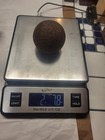          18th Century 1781 Revolutionary War 2 Pounder French          Cannon Ball 