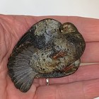 2 Lot Antique Vienna Austrian Cold Painted Bronze Pigeon Bird Figurine Preening