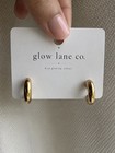 18k Gold Pvd Chunky Mini Hoop Earrings 316l Stainless Steel Hypoallergenic