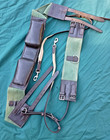 Lunging Training Surcingle Dover Saddlery Leather   Canvas   Tory Side Reins