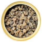 Canned Snails  6 Pack - Hedgehogs  Sugar Gliders  Skunks  Squirrels  Reptiles