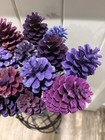 Cloud Burst 12 Purple Pine Cones  5 Loblolly 7 Hardwood  No Vase