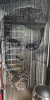 Vtg Mcm Elvis Presley Bamboo   Wire Doorway Curtain Very Rare And Hard To Find