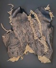 Planet Of The Apes - Original Movie Prop -  Human Caveman Costume W coa