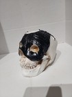 Skull With Mask Figurine Statue Skeleton Halloween