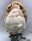 1920 s Antique Italian Hand Carved Cameo Conch Shell Vesuvius Landscape Lamp