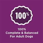 Purina Dog Chow Complete Adult Dry Dog Food  High Protein Real Lamb  44 Lb Bag