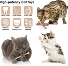 Cat Chew Sticks Silvervine Catnip Toys Teeth Cleaning For Kitten 10 Pack