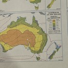 1956 Map Australia - New Zealand  rainfall  Political  Population And Vegitation