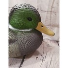 Mallard Duck Decoys 6-pack Spduck 14  Plastic Hunting Waterfowl New Opened Box