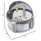 Fisher-price Portable Bassinet On-the-go Baby Dome  Travel Play Space  Windmill