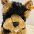 Steiff Herkules Yorkshire Terrier Collectable Plush Dog  10     076923 Euc Tags On