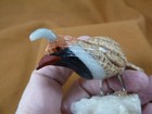  y-bir-qu-19  Quail White Red Black Bird Gemstone Stone Figurine Peru Quails