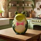 Vintage Cookie Jar Holt Howard Anthropomorphic Frog 9  Japan Rare