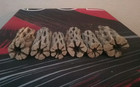 6 Thick Pieces Of 3  Cholla Wood   Aquarium Cactus Fish Shrimp Tank Hermit Crabs