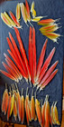 Beautiful True Rainbow  Scarlett Macaw Feathers Rare 56 Count