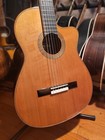 Cordoba Fusion 12 Orchestra Ce Nylon String Acoustic Guitar