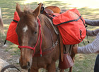 Saddle Panniers For Horses     Heavy-duty Over-the-saddle Packing Bags For Hunting