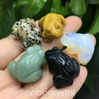 5pc Mix Natural Quartz Crystal Hand Carved Frog Skull Reiki Healing 