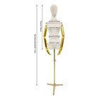 Female Mannequin Dress Form Display Adjustable Height Clothing Female Form