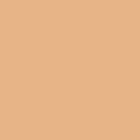 Covergirl Clean Matte Pressed Powder Powder Soft Honey 555  0 35 Oz